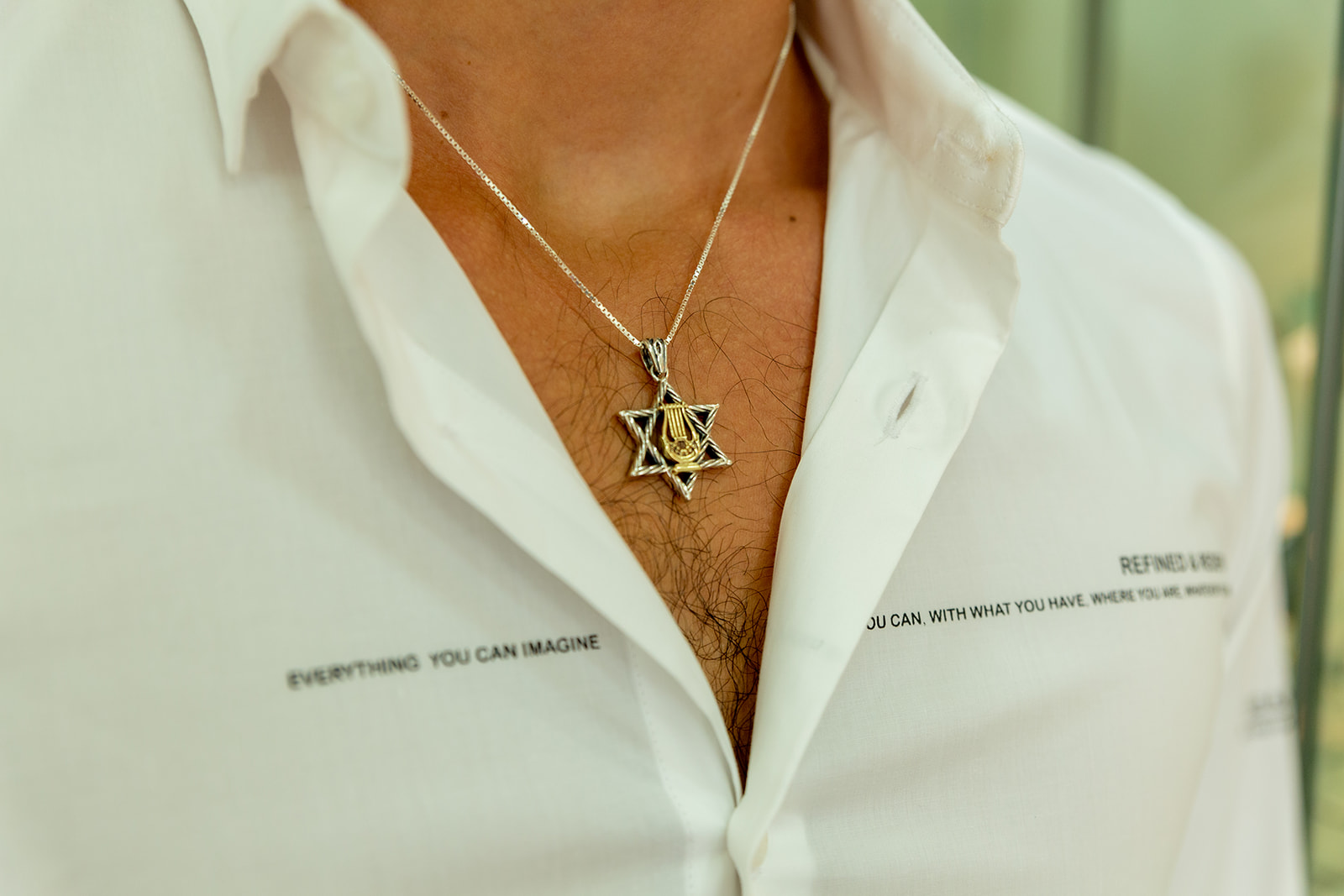 תליון מגן עם נבל דוד - מגע הקסם תליון מגן עם נבל דוד - מגע הקסם