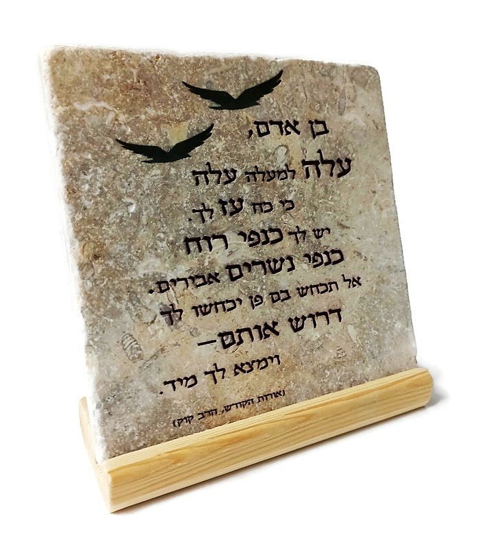 אריח בן אדם 20/20