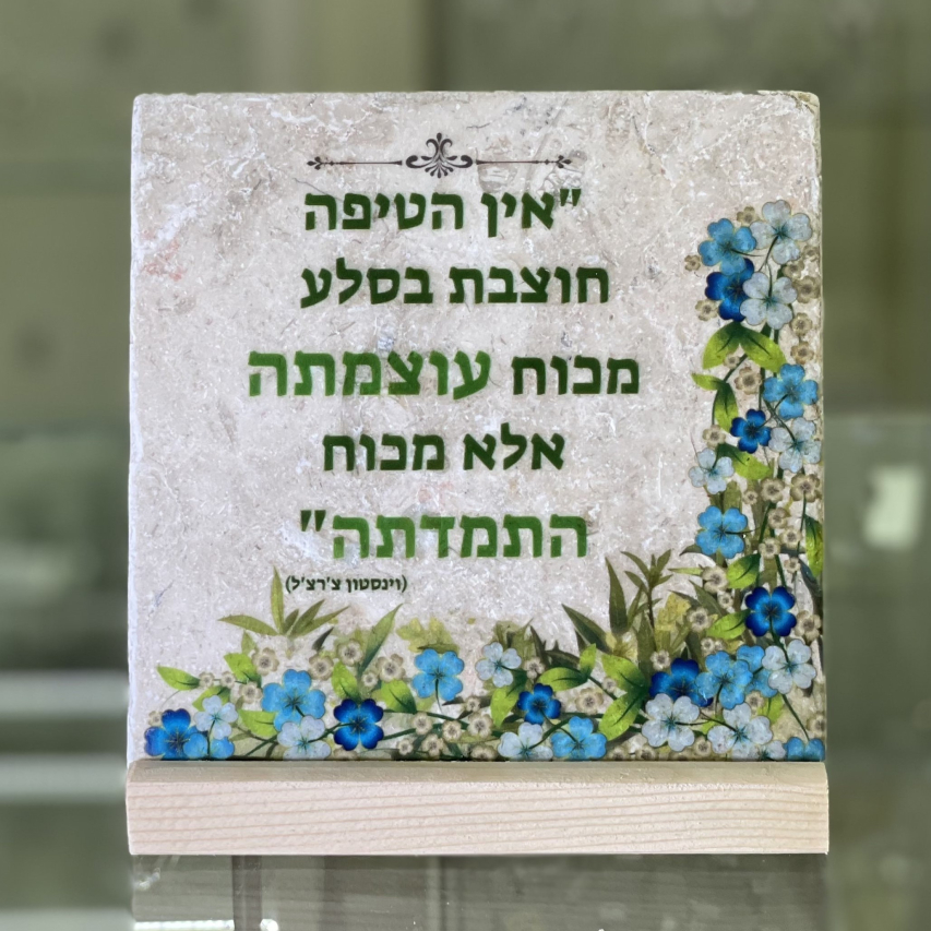 אריח אין הטיפה- 15/15 אריח אין הטיפה- 15/15