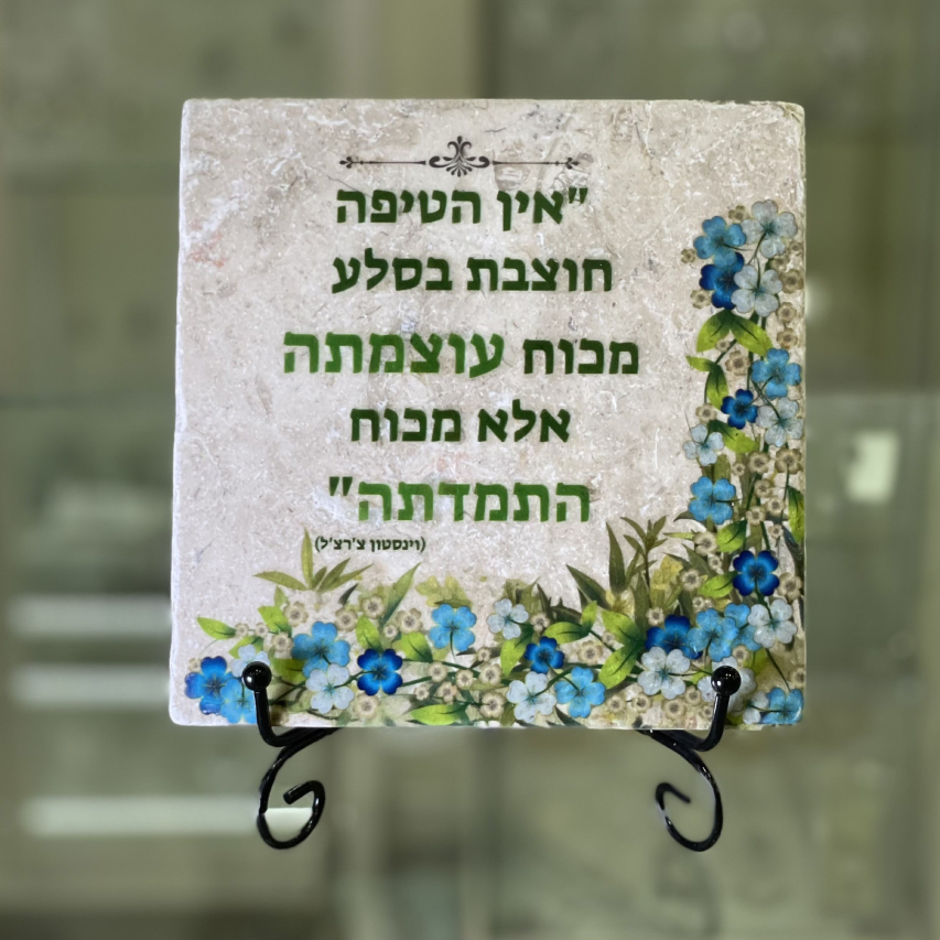 אריח אין הטיפה- 15/15 אריח אין הטיפה- 15/15