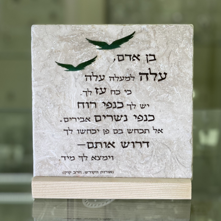 אריח בן אדם 15/15