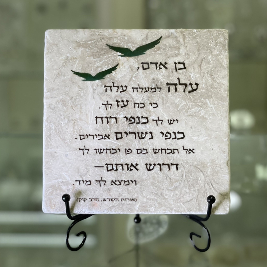 אריח בן אדם 15/15