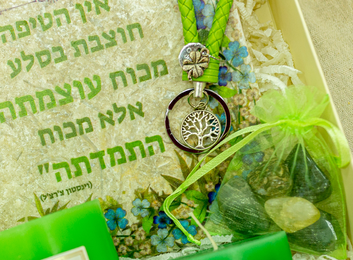 מארז צמיחה מארז צמיחה
