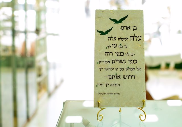 אריח בן אדם 30/15 אריח בן אדם 30/15