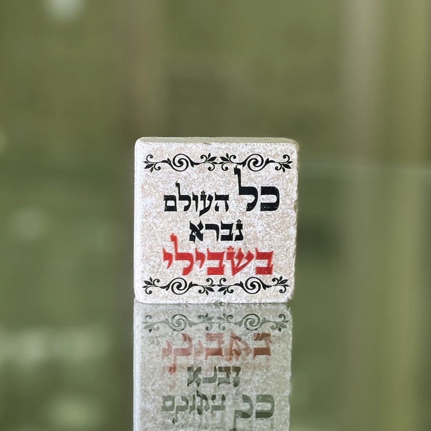 אריח 5\5 - כל העלם נברא בישבילי