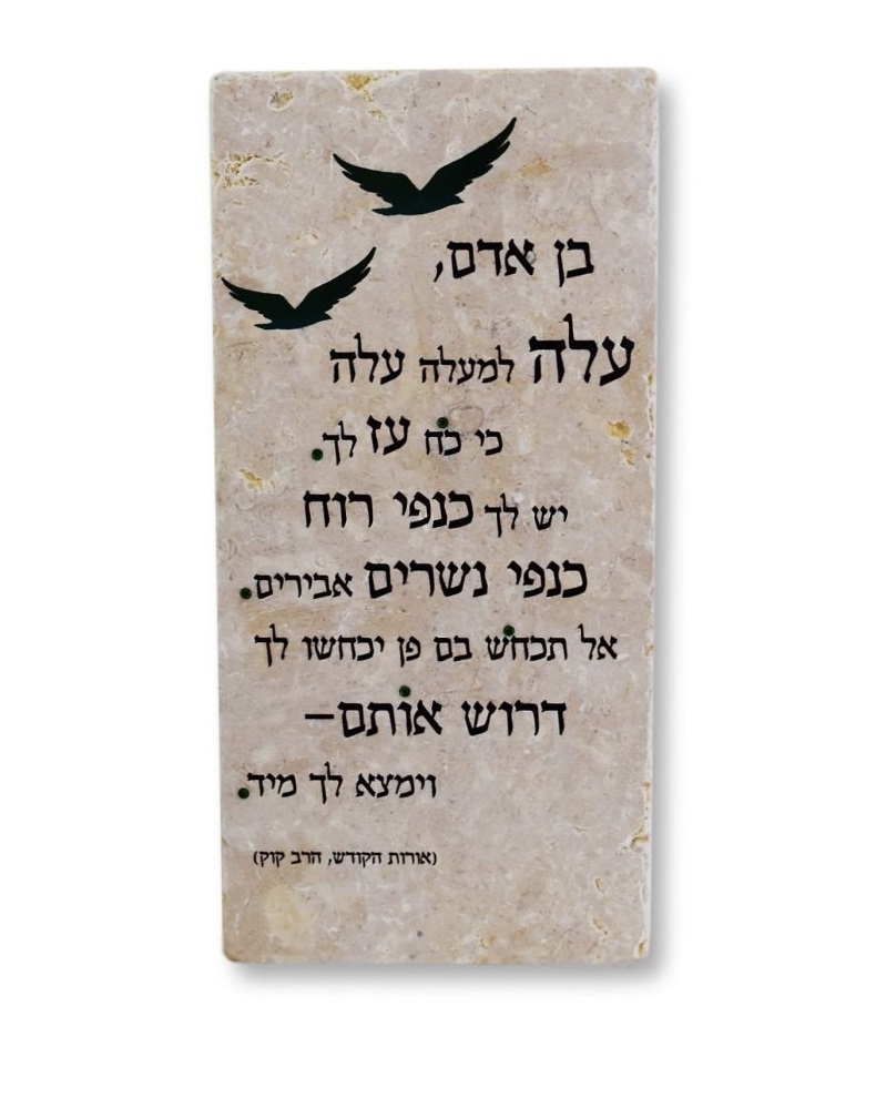 אריח בן אדם 30/15 אריח בן אדם 30/15