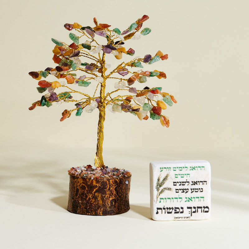 מארז עץ MIX בינוני ואריח