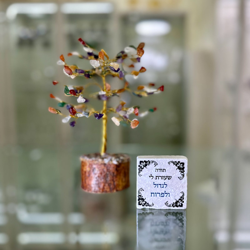 מארז עץ MIX בינוני ואריח