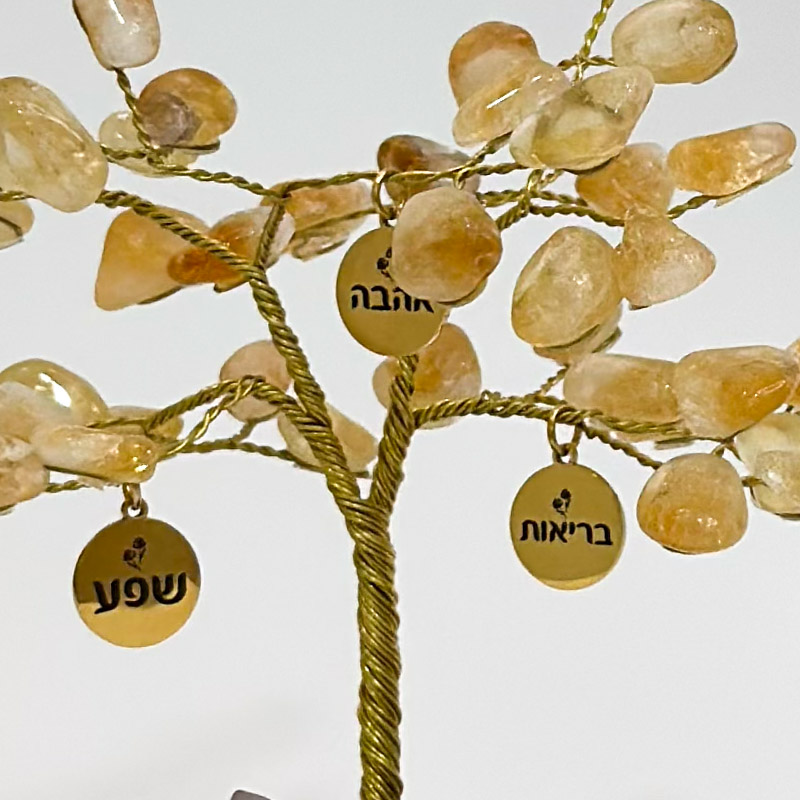 קלפי אור צל- קלפים לקבלה והגשמה עצמית