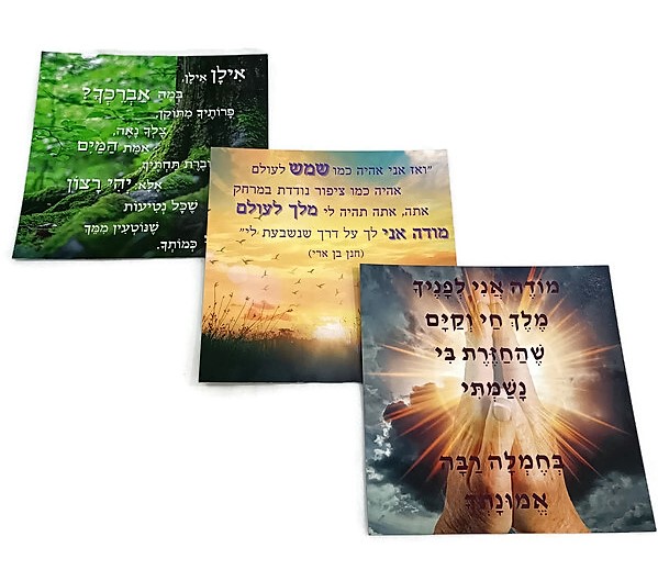סט 3 מגנטים סט 3 מגנטים