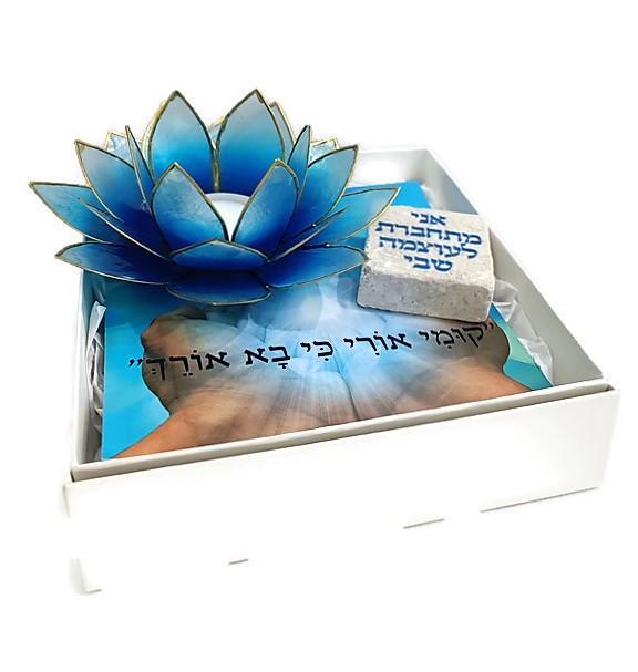 מארז לוטוס התחדשות וצמיחה מארז לוטוס התחדשות וצמיחה