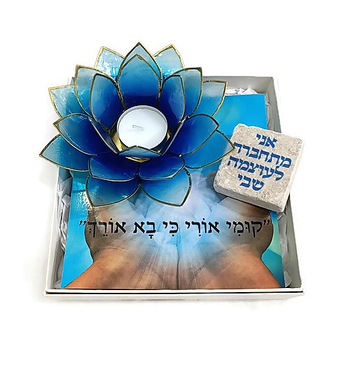מארז לוטוס התחדשות וצמיחה מארז לוטוס התחדשות וצמיחה