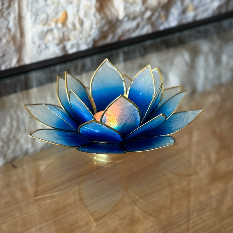 פמוט לוטוס צדפה - טורקיז אומברה פמוט לוטוס צדפה - טורקיז אומברה