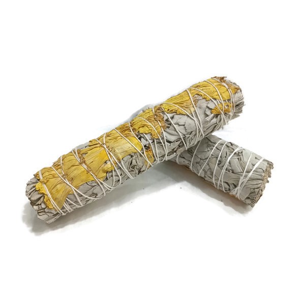מרווה לבנה וחמנייה מרווה לבנה וחמנייה