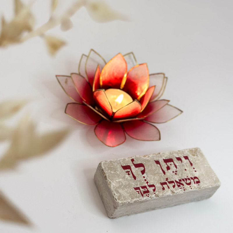 מארז לוטוס "ויתן לך משאלות ליבך" מארז לוטוס "ויתן לך משאלות ליבך"