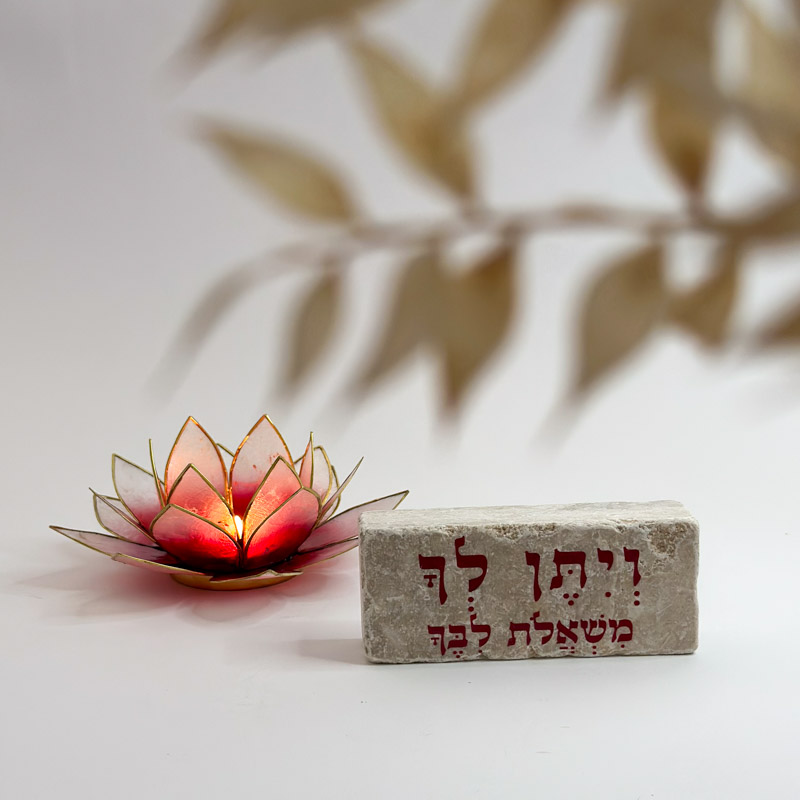 מארז לוטוס "ויתן לך משאלות ליבך" מארז לוטוס "ויתן לך משאלות ליבך"