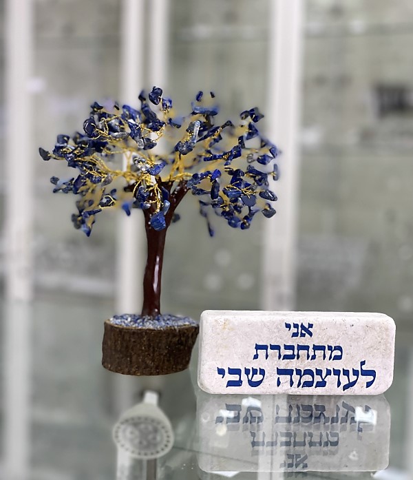 מארז להעצמת אישה - חיבור לעוצמה הפנימית