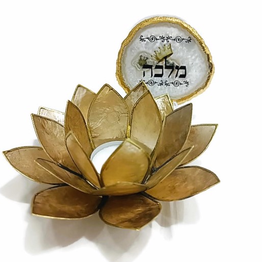 מארז לוטוס ואגת "מלכה"