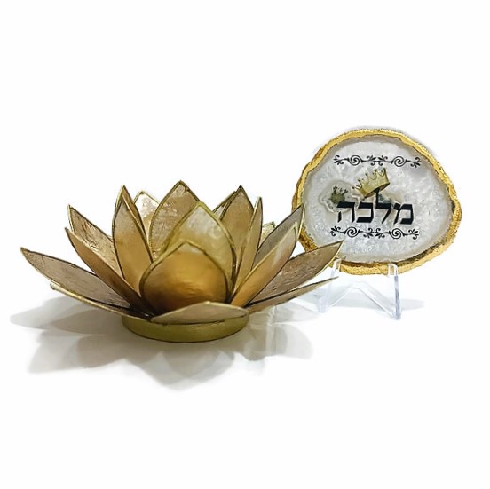 מארז לוטוס ואגת "מלכה"
