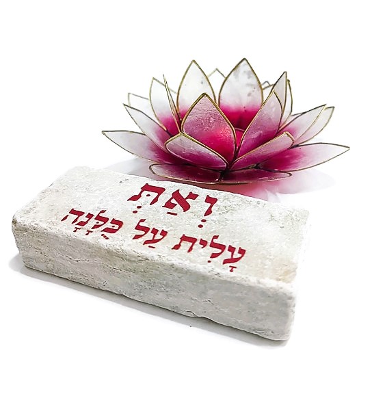 מארז לוטוס - "ואת עלית על כולנה" מארז לוטוס - "ואת עלית על כולנה"