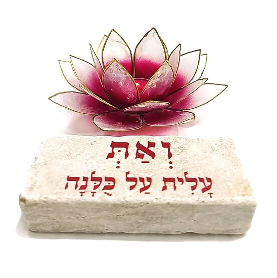 מארז לוטוס - "ואת עלית על כולנה" מארז לוטוס - "ואת עלית על כולנה"