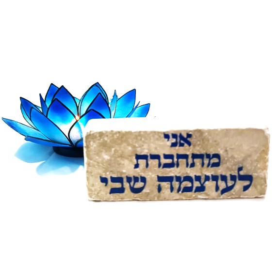מארז לוטוס צמיחה והעצמה