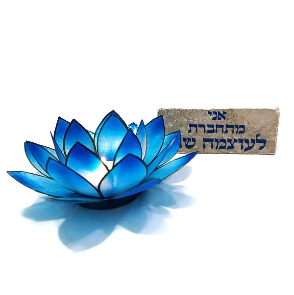 מארז לוטוס צמיחה והעצמה