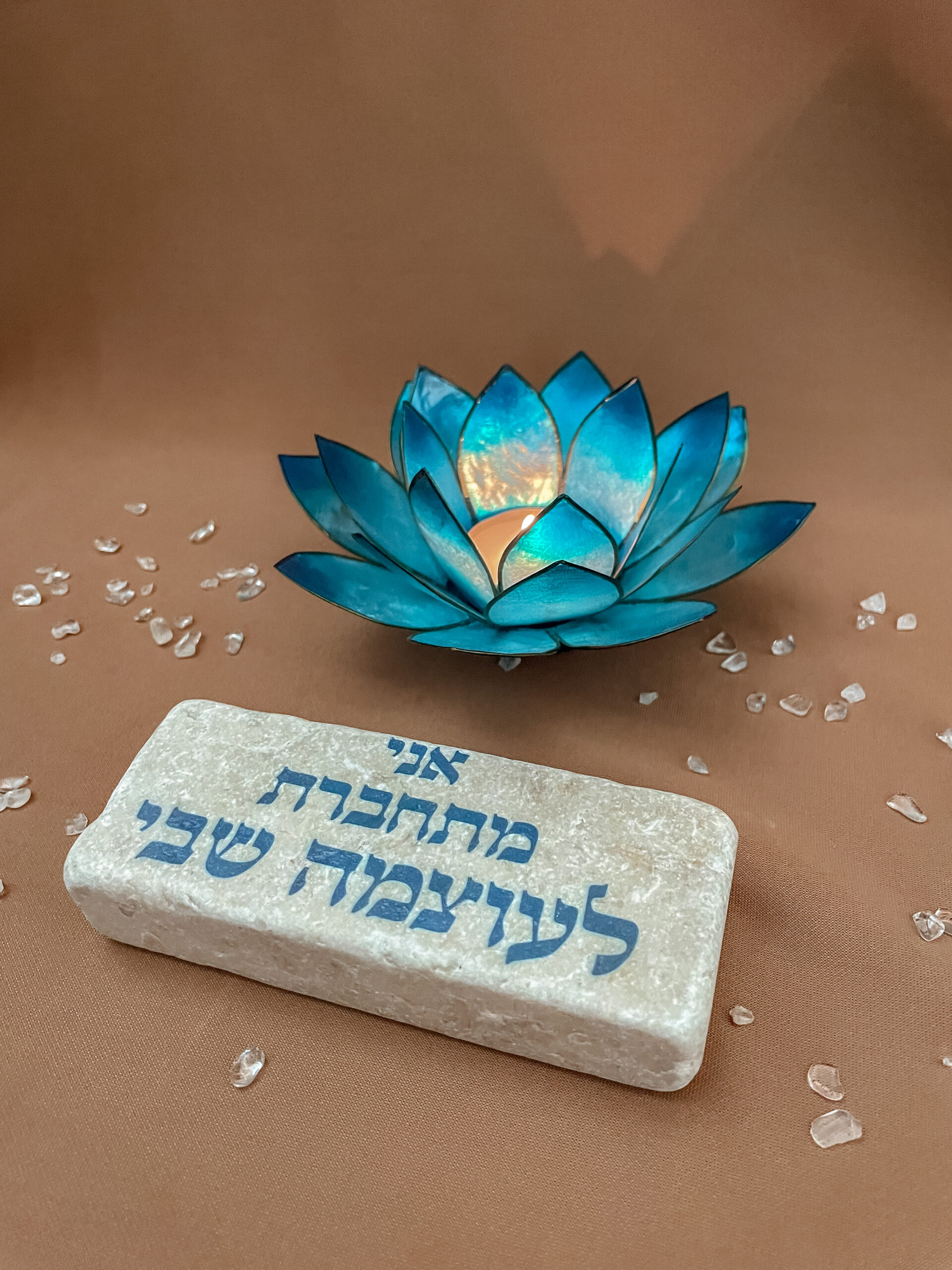 מארז לוטוס צמיחה והעצמה
