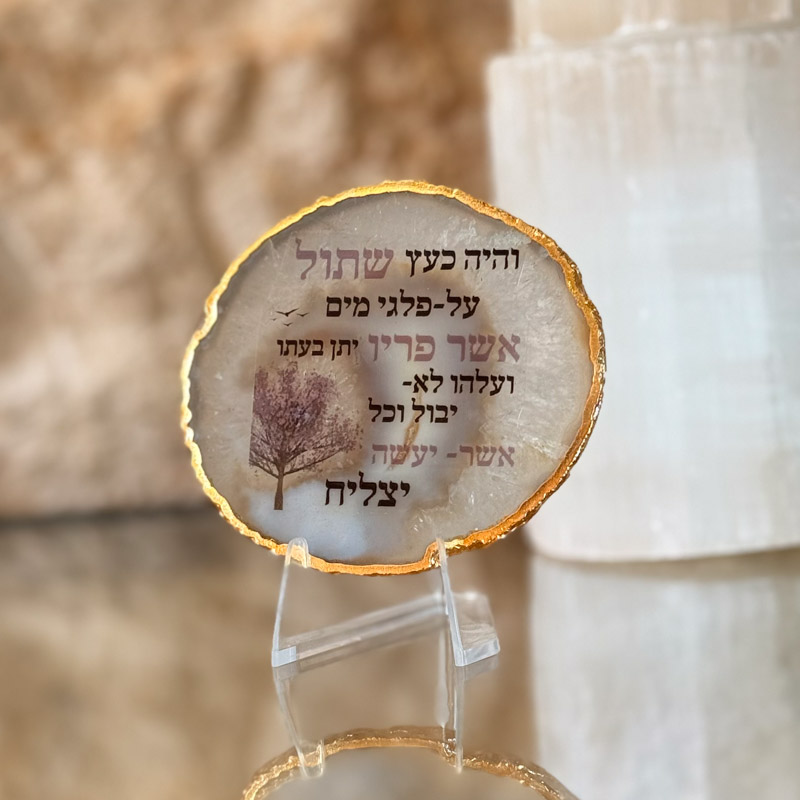 אגת גולדן - והיה כעץ שתול (המלא) אגת גולדן - והיה כעץ שתול (המלא)