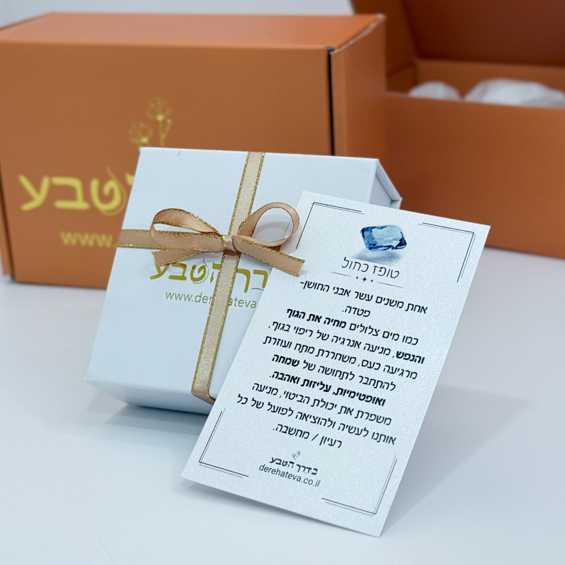 עגילי טופז אובליים - בר