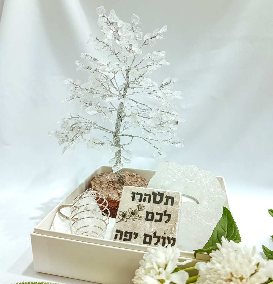 מארז קוורץ אנרגיית החיים