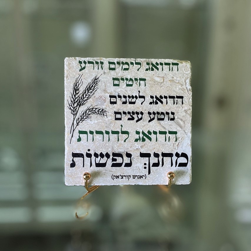 אריח 10/10 - 'הדואג לימים' אריח 10/10 - 'הדואג לימים'