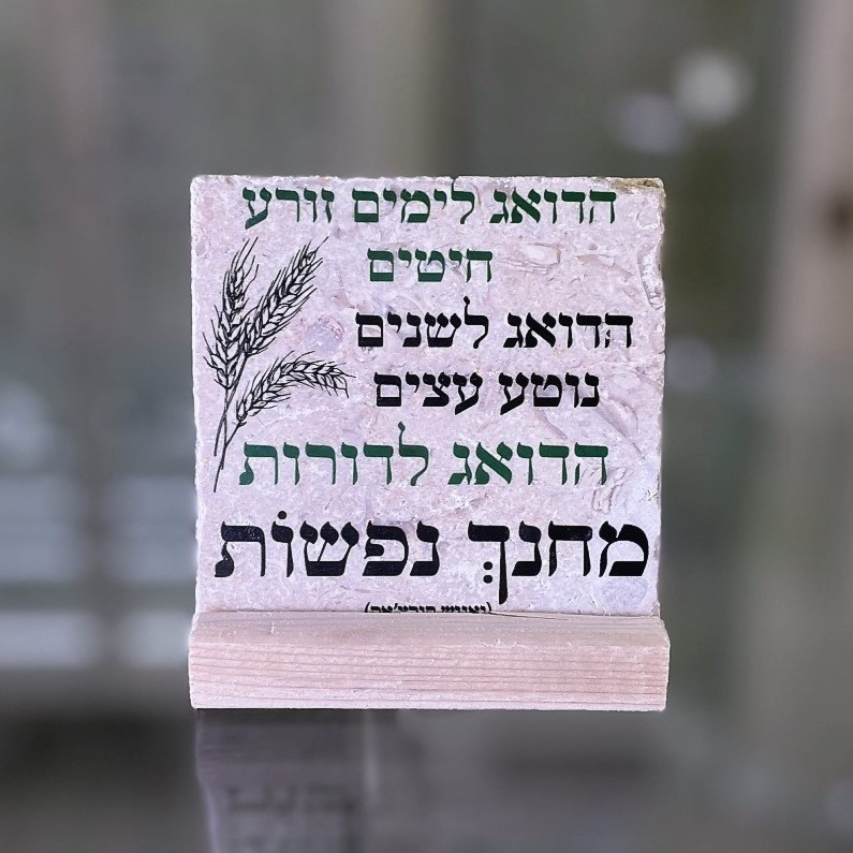 אריח 10/10 - 'הדואג לימים' אריח 10/10 - 'הדואג לימים'