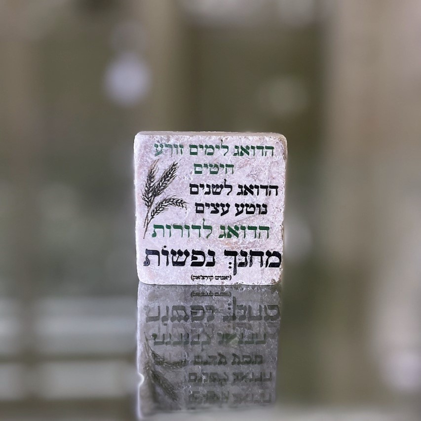 אריח 5/5 - 'הדואג לימים' אריח 5/5 - 'הדואג לימים'