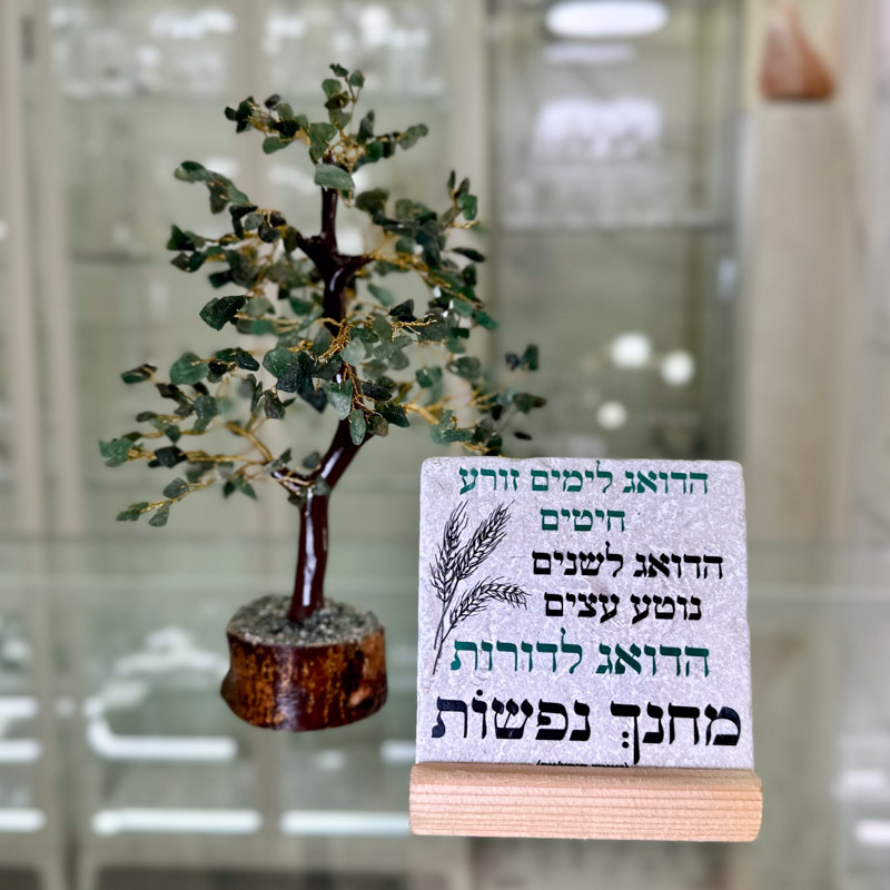 מארז עץ גזע ואריח "הדואג לימים"