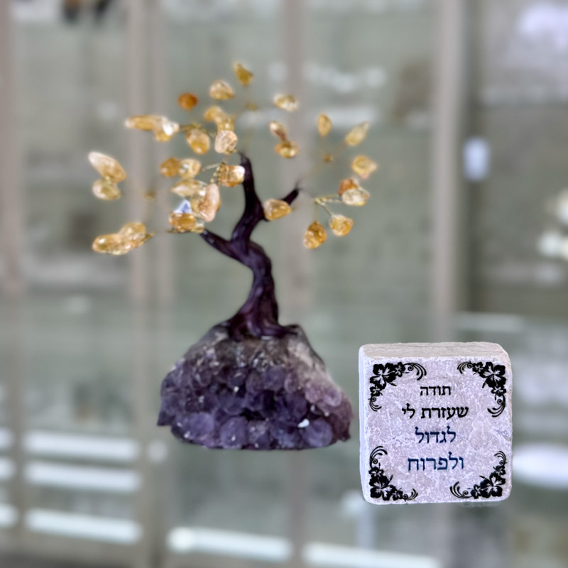 מארז עץ קטן ואריח - תודה שעזרת לי לגדול ולפרוח