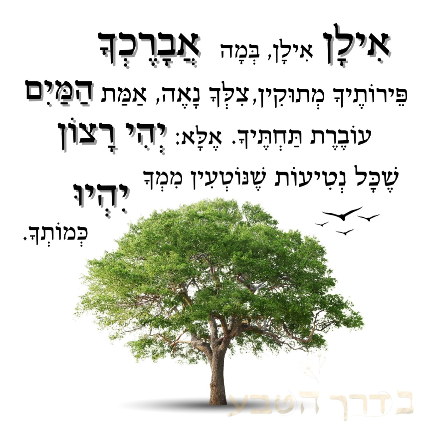 10 כרטיסי ברכה מעוצבים 10 כרטיסי ברכה מעוצבים