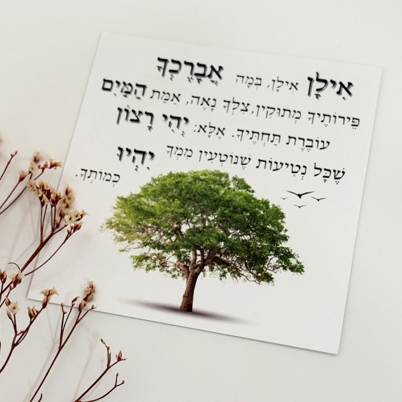 כרטיס ברכה "אילן אילן" כרטיס ברכה "אילן אילן"