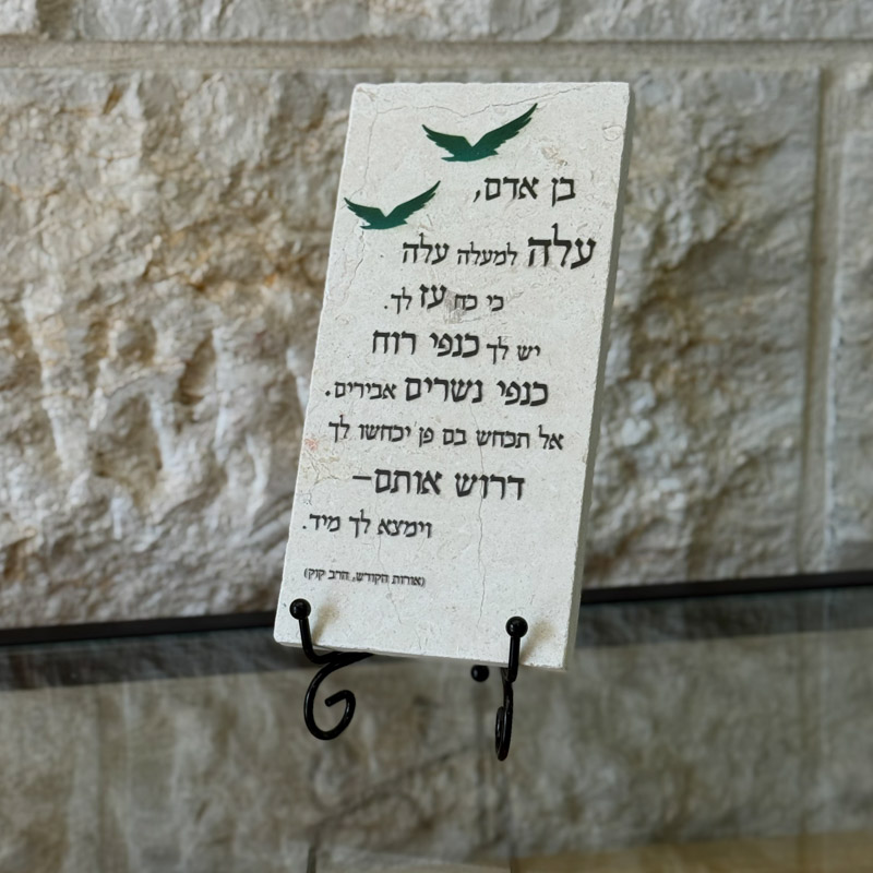 אריח 10/20 - בן אדם (הרב קוק) אריח 10/20 - בן אדם (הרב קוק)