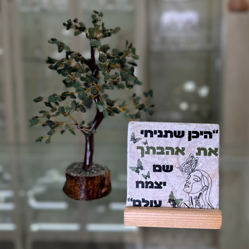 מארז עץ גזע ואריח "היכן שתניחי" מארז עץ גזע ואריח "היכן שתניחי"