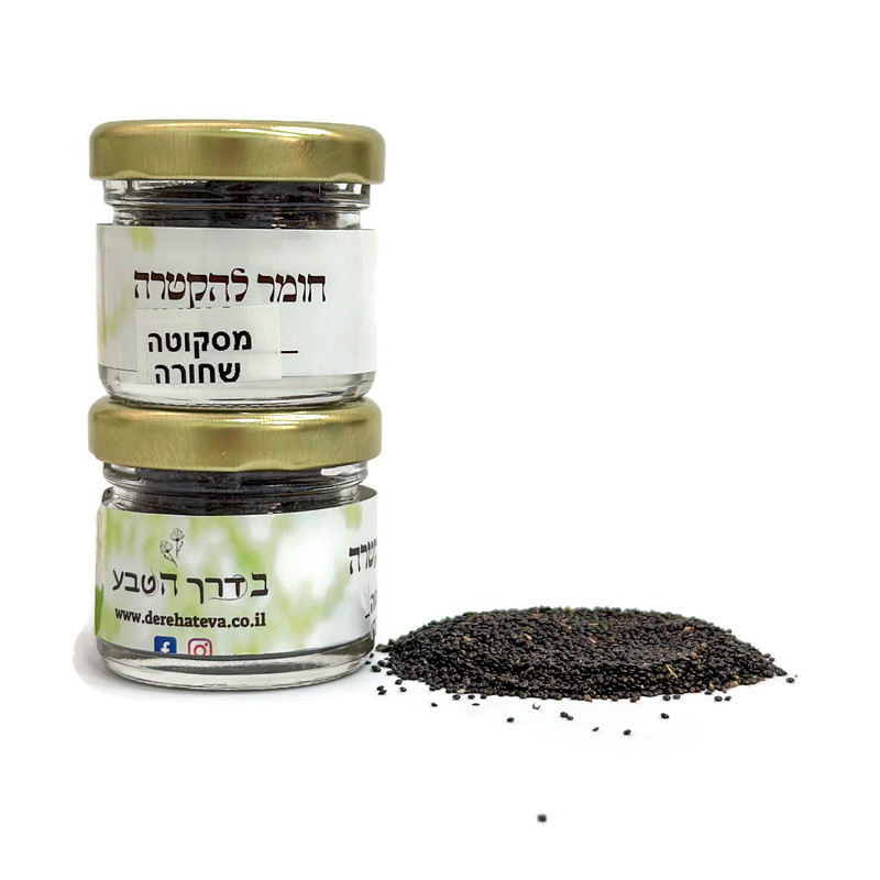 סקטה מסקוטה שחורה סקטה מסקוטה שחורה