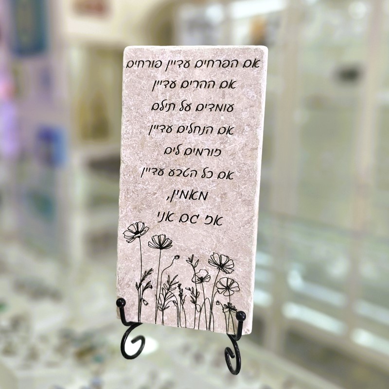אריח 10/20- אמונה שניקה שקד אריח 10/20- אמונה שניקה שקד