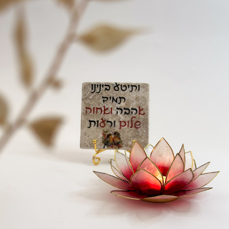 מארז אהבה לוטוס "ותיטע בנינו" מארז אהבה לוטוס "ותיטע בנינו"