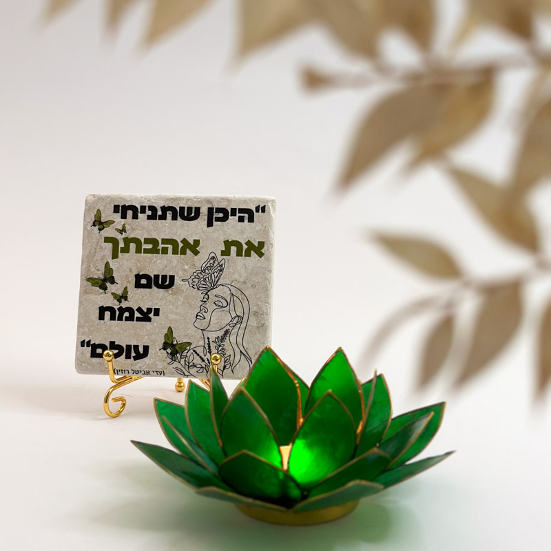 מארז לוטוס היכן שתניחי