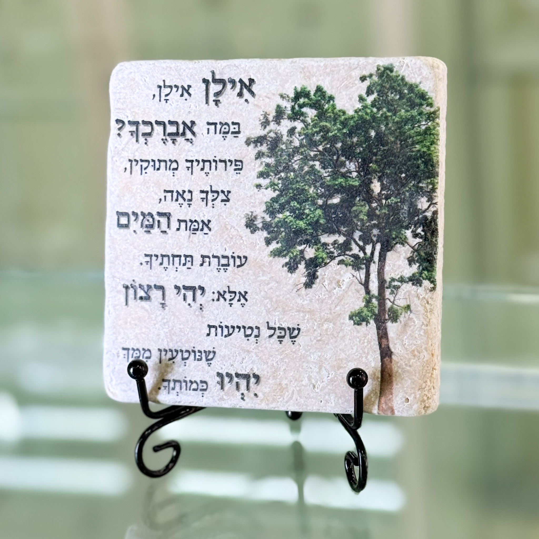 אריח 10/10 -אילן אילן אריח 10/10 -אילן אילן