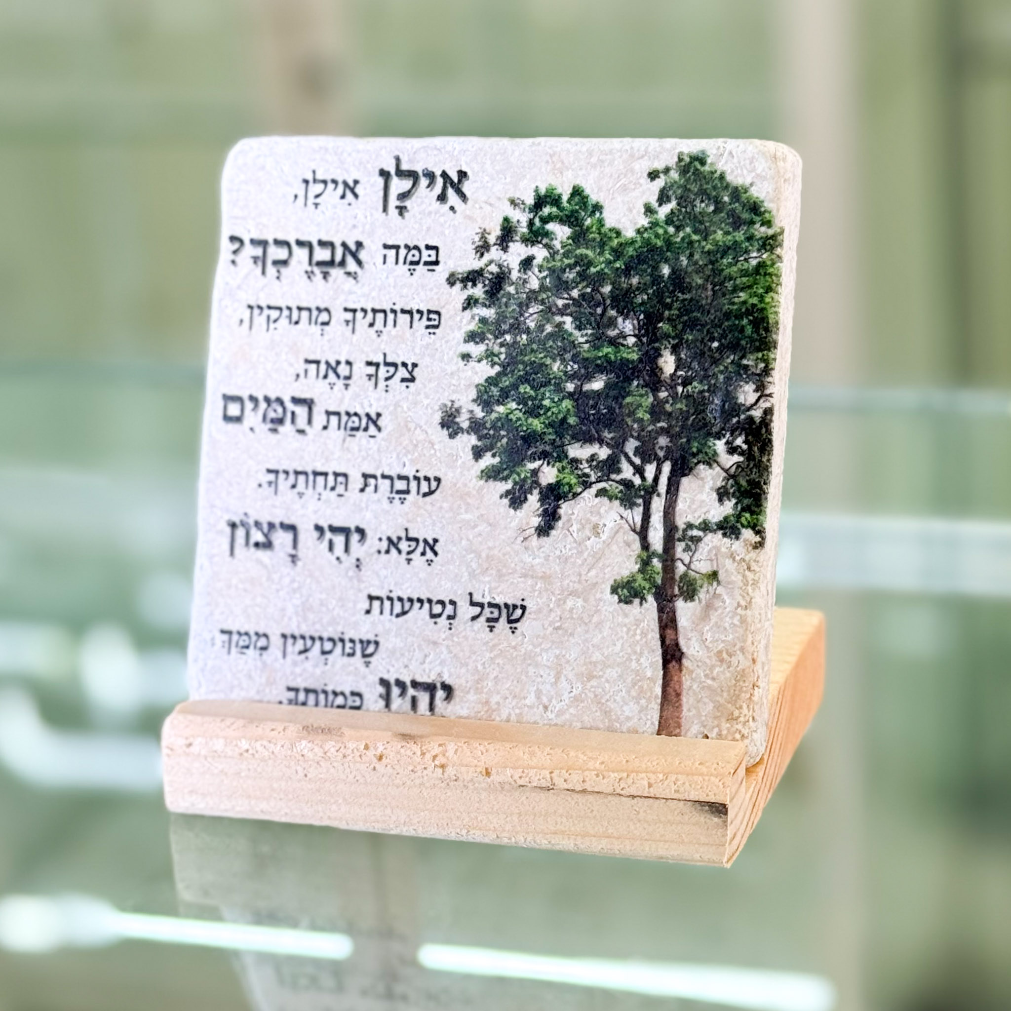 אריח 10/10 -אילן אילן אריח 10/10 -אילן אילן