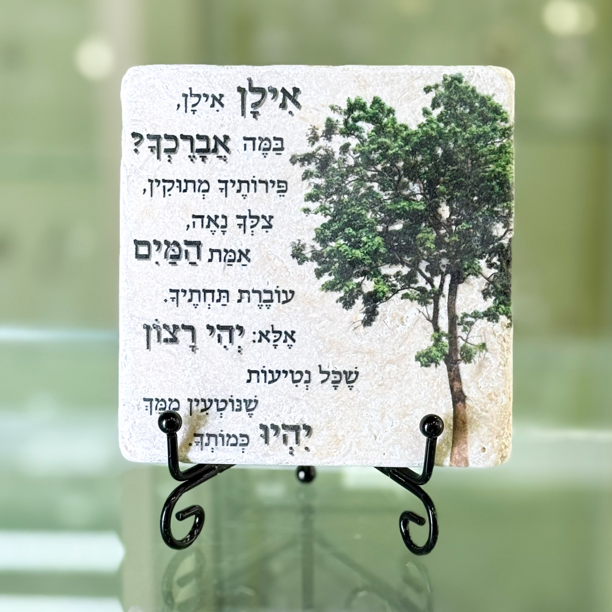 אריח 10/10 -אילן אילן אריח 10/10 -אילן אילן