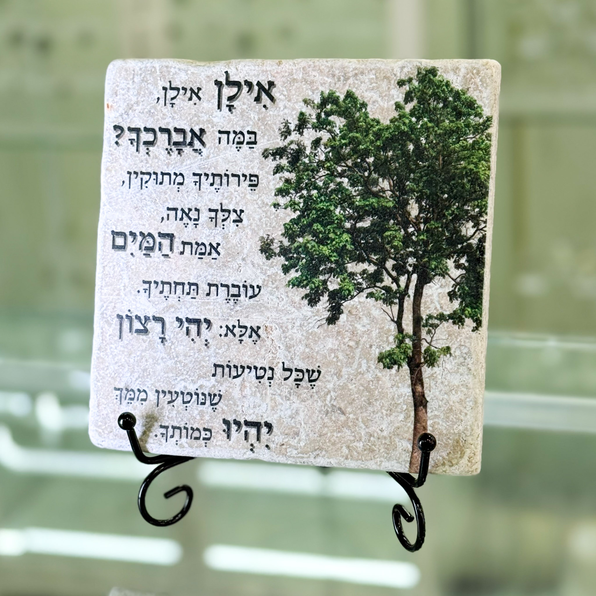 אריח 15/15 - אילן אילן אריח 15/15 - אילן אילן