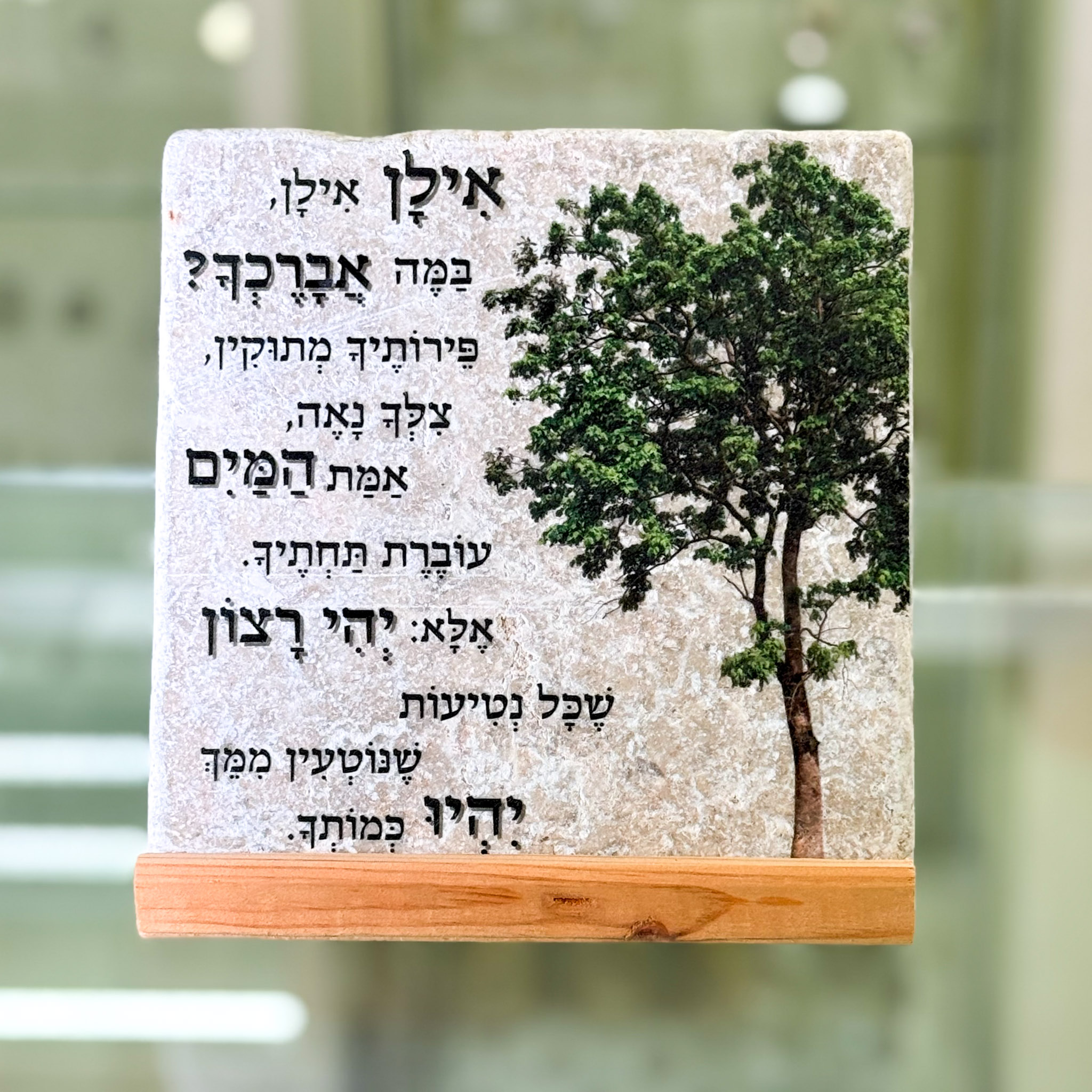 אריח 15/15 - אילן אילן אריח 15/15 - אילן אילן