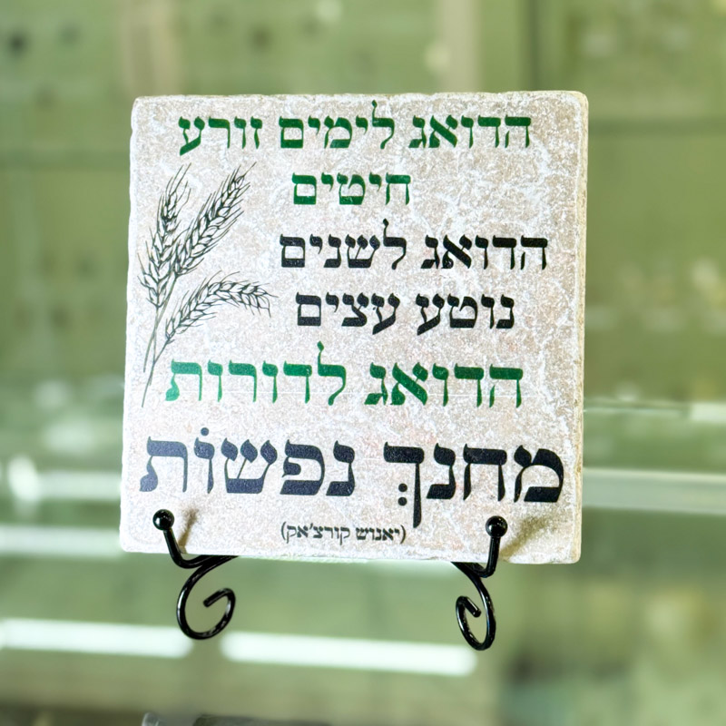 אריח 15/15 – ‘הדואג לימים’ אריח 15/15 – ‘הדואג לימים’